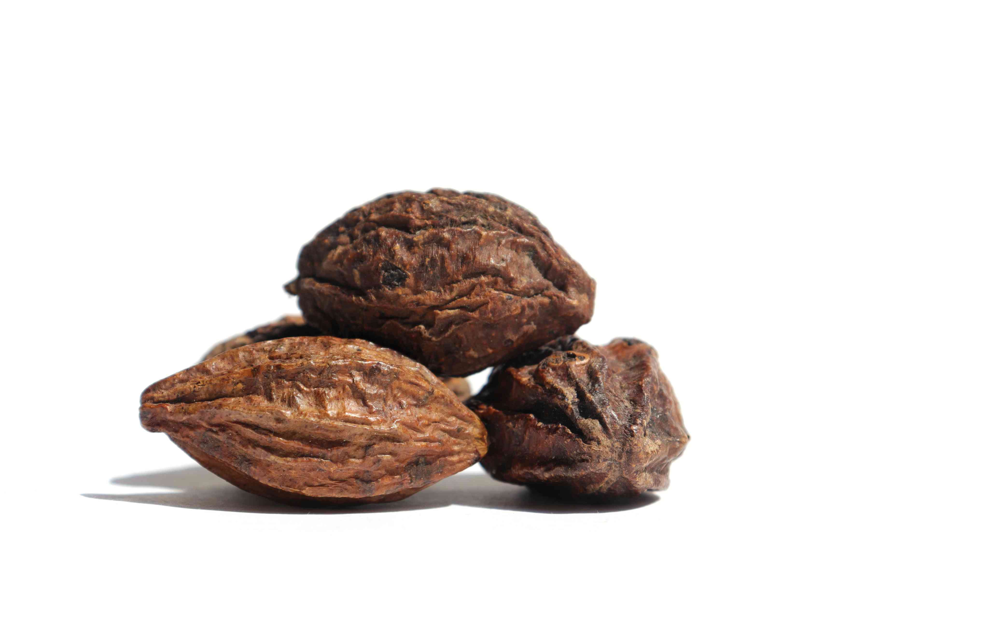 Haritaki Wholesale Manufacturer & Supplier in India